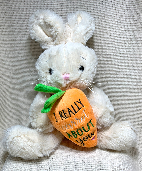 Carrot bunny plush