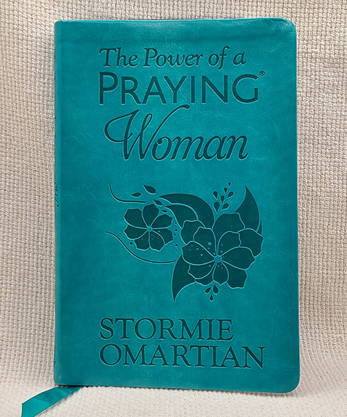 The Power of a Praying Woman book